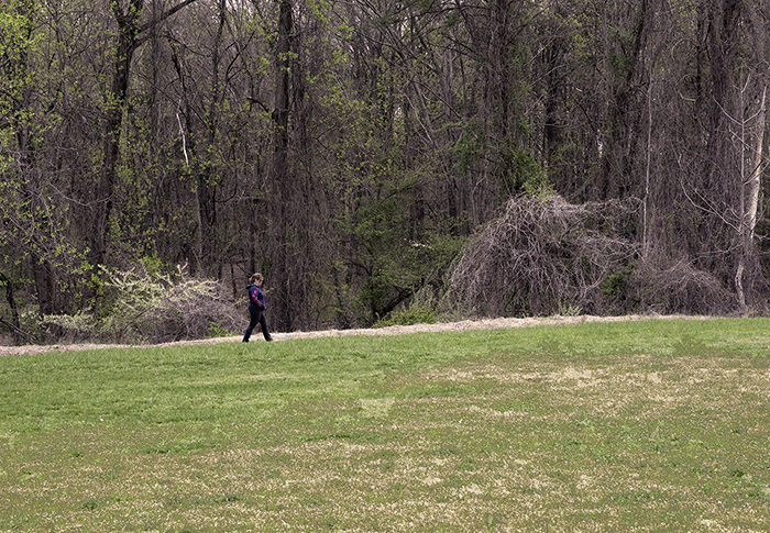 Photo of a solitary runner alongside woods showing social distancing in Maryland, 2020