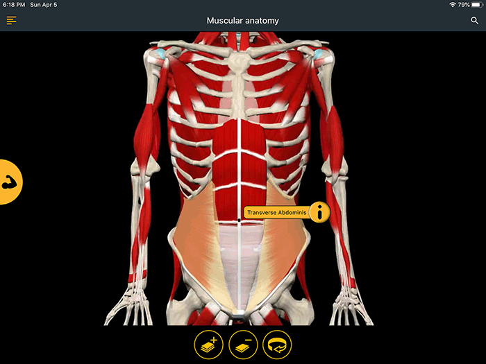 Posture App (version 2.1.66) | Healy | Journal of the Medical Library ...